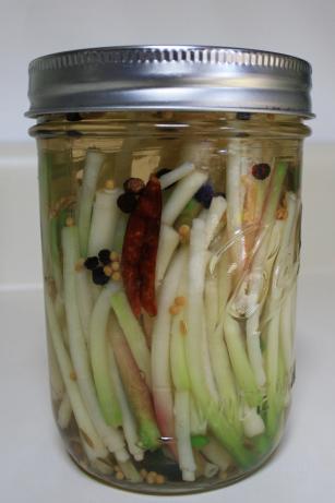 Pickled Ramps, Scallions or Leeks. Photo by Barb 3663