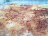 Dump Cake - Cobbler