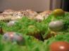 Easter Basket Cupcakes