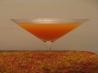 X-Rated  Nectar Martini