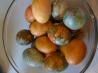 Traditional Easter Marbled Pace Eggs