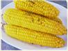Corn On The Cob