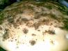 Focaccia Bread With Three Topping Choices