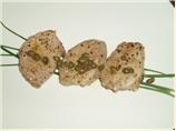 Pork Medallions With Lemon and Capers
