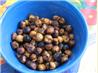 Toasted Chickpeas With Seasoning Options