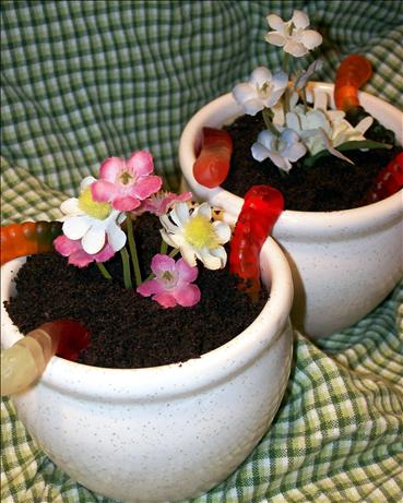 Fun & Easy Chocolate Dirt Cake. Photo by ~kdp