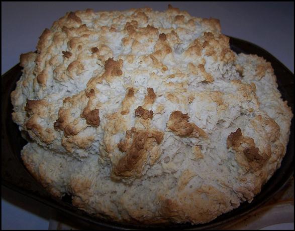 Australian Damper. Photo by kzbhansen