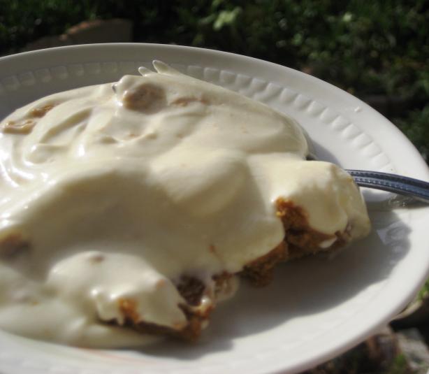 Yummy Yogurt Dessert. Photo by Pneuma
