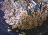 Crumbled Hamburger (Sloppy Joes). Recipe by Amberngriffinco