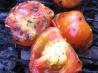 BBQ Tomatoes. Recipe by evelyn/athens