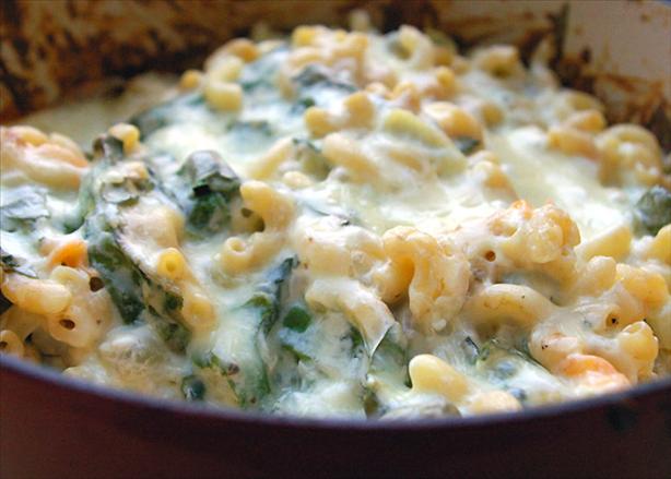 Creamy Macaroni Spinach Bake. Photo by Redsie