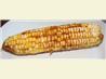 Parmesan/Chili Corn on the Cob. Recipe by MilanzMom