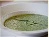 Chilled Sorrel Soup