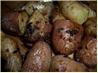 Roasted Fingerling Potatoes. Recipe by iris5555