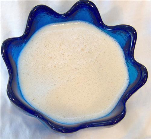Big Bob Gibson's Alabama White BBQ Sauce. Photo by Mama's Kitchen (Hope)