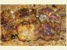Andalucian Pinchitos Morunos - Moorish Saffron Meat Skewers