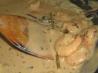 Thai Prawn Satay