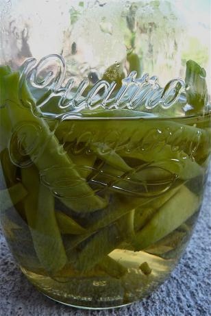Pickled Green Beans. Photo by Cookgirl