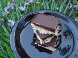 Coconut Chocolate Squares