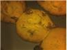 Caramel Peanut Butter Cookies