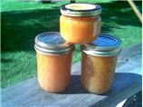 Apricot Honey Butter