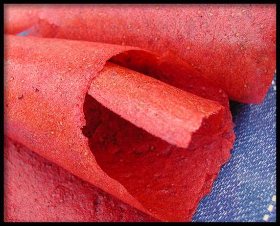 Passion Strawberry Fruit Leather - Dehydrator Roll-Ups. Photo by Sandi (From CA)