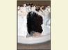 French Chocolate Cake. Recipe by FloridaGrl