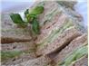 Buckingham Palace Garden Party Cucumber Sandwiches