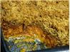 Gingerbread Sweet Potato Casserole. Recipe by Celeste :)