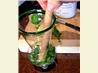 Cojito (Mojito W/Coconut Rum)