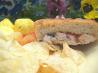 Chicken, Pesto, and Olive Panini