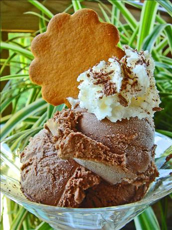 French Chocolate Ice Cream. Photo by Bev