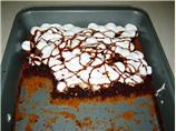 Kristi's S'more Bars