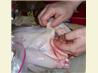 How to Cut up a Chicken