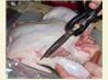 How to Cut up a Chicken