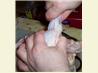 How to Cut up a Chicken