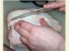 How to Cut up a Chicken