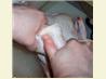 How to Cut up a Chicken