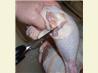 How to Cut up a Chicken