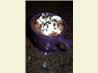 Ultra-Rich Hot Chocolate
