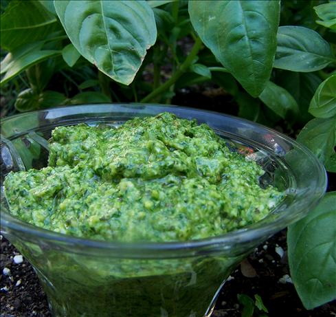 Arugula Basil Pesto. Photo by Rita~