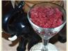 Sour Cherry Syrup
