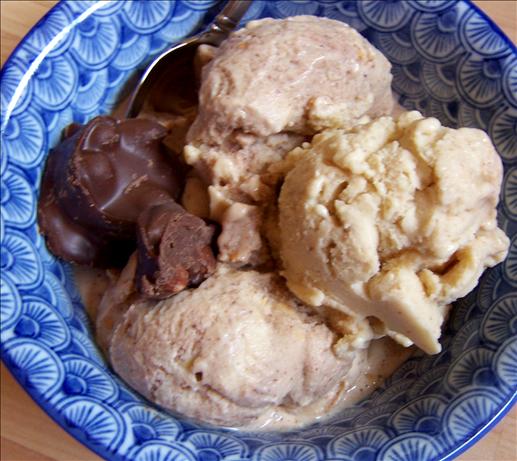 Ann 's Almond Chocolate Ice Cream Dairy Free. Photo by Rita~