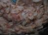 Easy Refried Beans