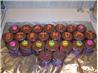 Cocoa Mocha Frosting. Recipe by fullernj