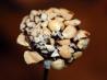 Chocolate Fondue. Recipe by Lainey6605