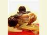 Black Forest Chicken