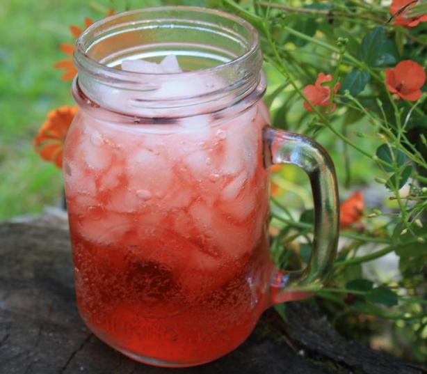 Orange-Berry Sparkler. Photo by Pink_Diamond