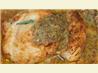Salsa Butter Chicken. Recipe by English_Rose
