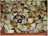 Mustard Baked Potatoes With Olives. Recipe by twissis